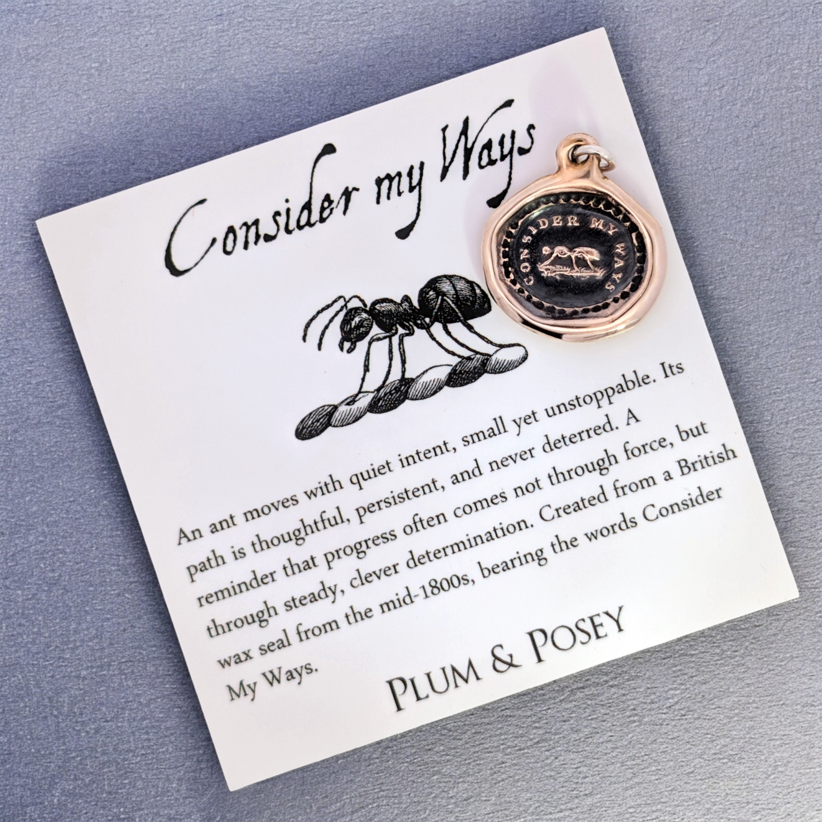 Consider My Ways - Bronze Ant Wax Seal Pendant