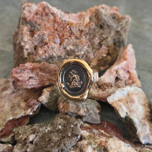 Horse Head Seal Ring, Bronze on Sterling, Size 10.75