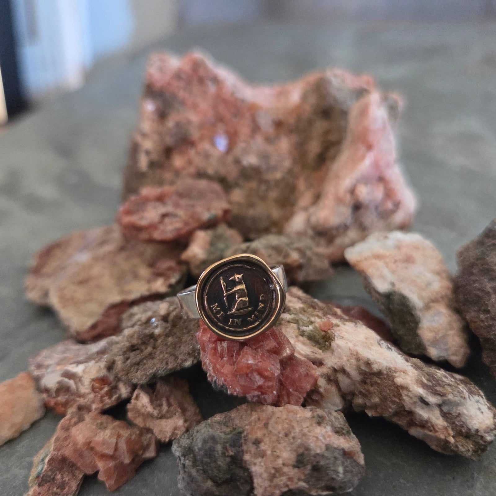 Bear Me In Mind Seal Ring, Bronze on Sterling, Size 4.5