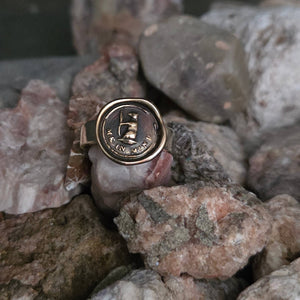 Bear Me In Mind Seal Ring, Bronze on Sterling, Size 4.5