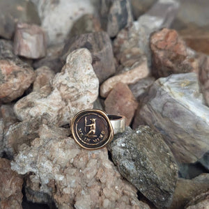 Bear Me In Mind Seal Ring, Bronze on Sterling, Size 4.5