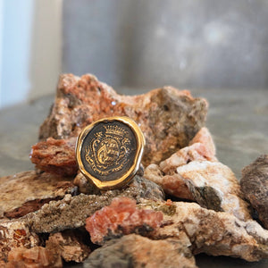 Dolphin Crest Seal Ring, Bronze on Sterling, Size 9