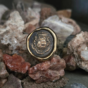 Dolphin Crest Seal Ring, Bronze on Sterling, Size 9