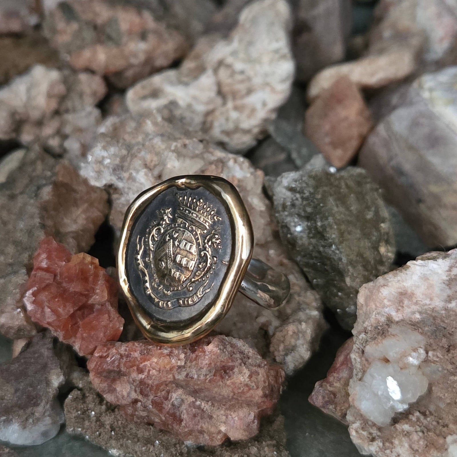 Dolphin Crest Seal Ring, Bronze on Sterling, Size 9