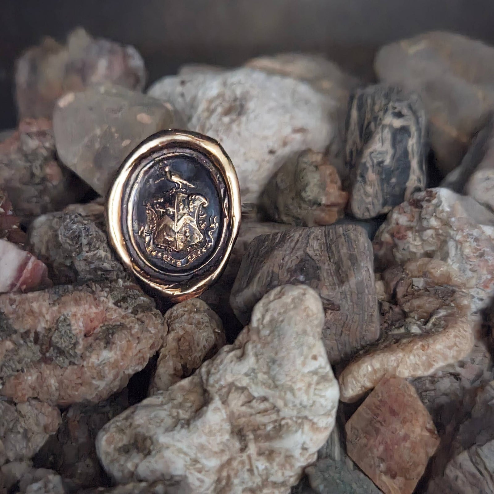 Heraldic Bird Crest Seal Ring, Bronze on Sterling, Size 8.5