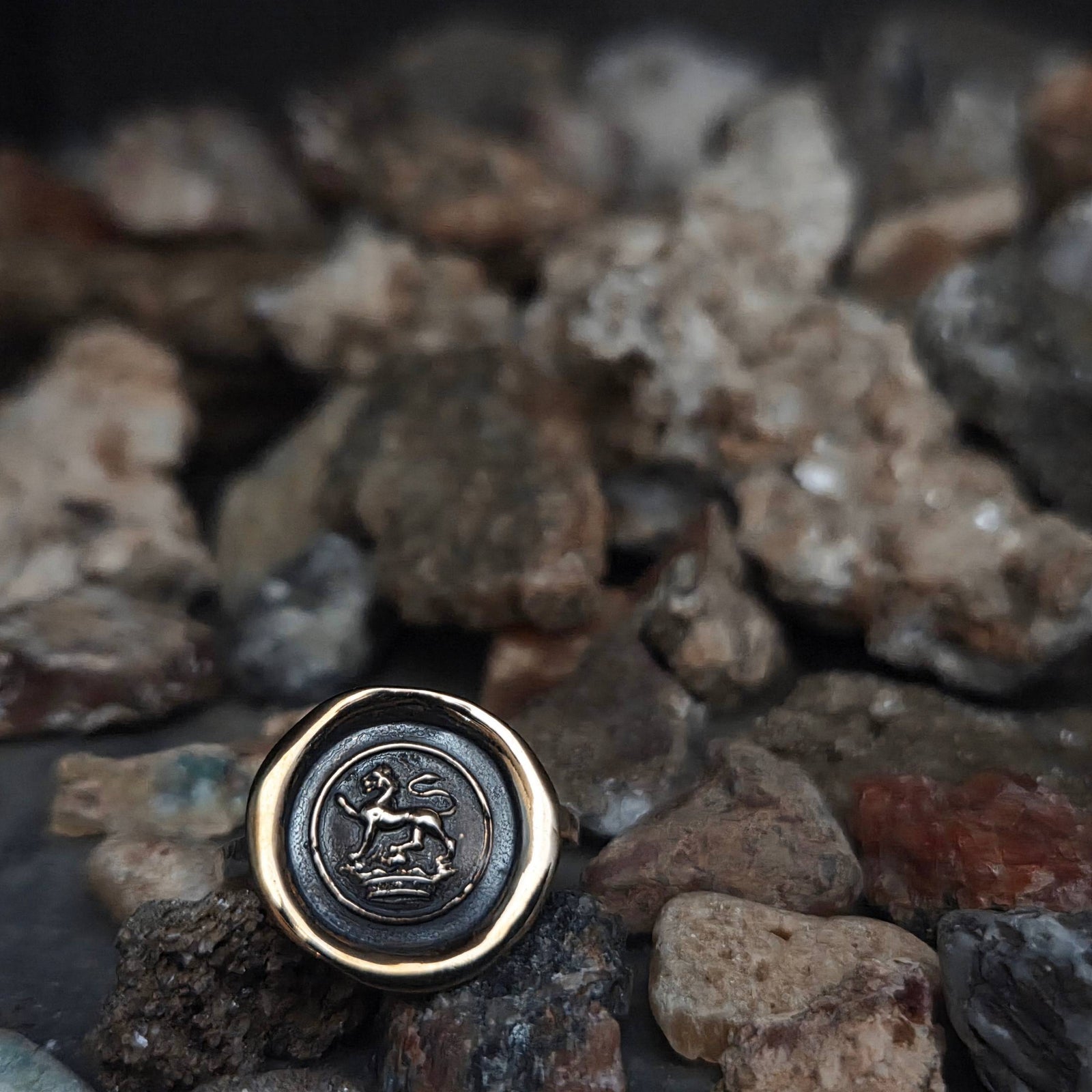 Lion Passant on Crown Seal Ring, Bronze on Sterling, Size 8