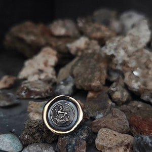 Lion Passant on Crown Seal Ring, Bronze on Sterling, Size 8