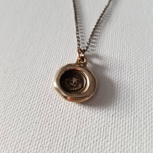 Star - Beware I am Here in bronze