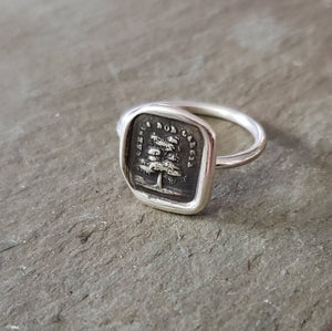 Grow, don't change - Skinny Stacking Ring