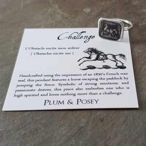 Challenge Horse - Skinny Stacking Ring