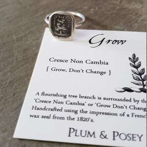 Grow, don't change - Skinny Stacking Ring