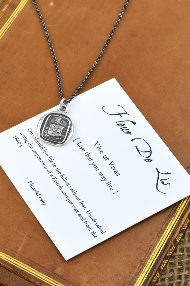 Fleur de lis and Star necklace - Live your Life in Bronze