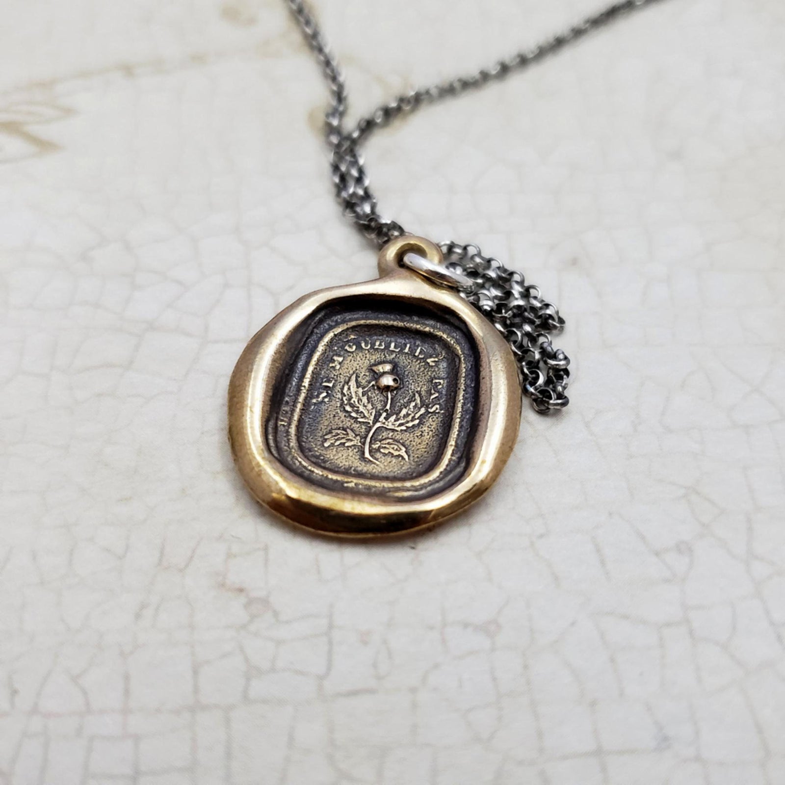 Scottish Thistle - Do Not Forget Me - Dinna Forget in bronze