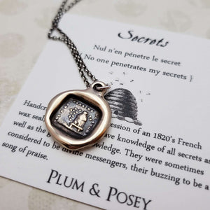 Bees and Beehive - No one penetrates my Secrets in bronze