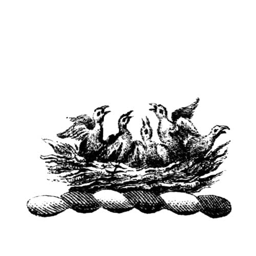 Family & Devotion Collection