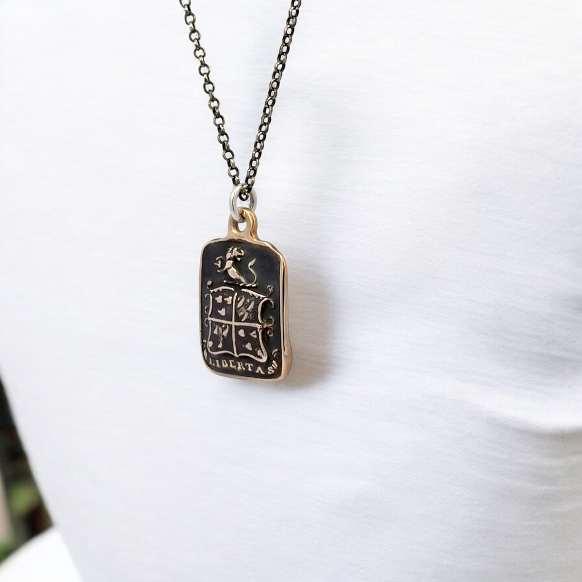 Strength and Freedom - Bronze Lion and Boar Wax Seal Pendant