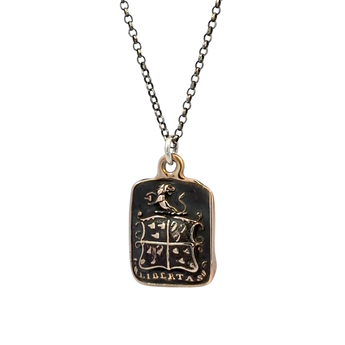 Strength and Freedom - Bronze Lion and Boar Wax Seal Pendant