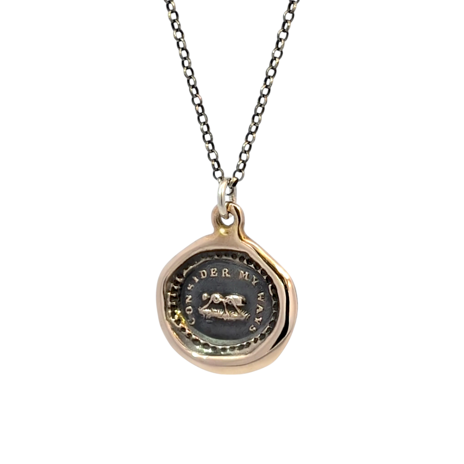 Consider My Ways - Bronze Ant Wax Seal Pendant