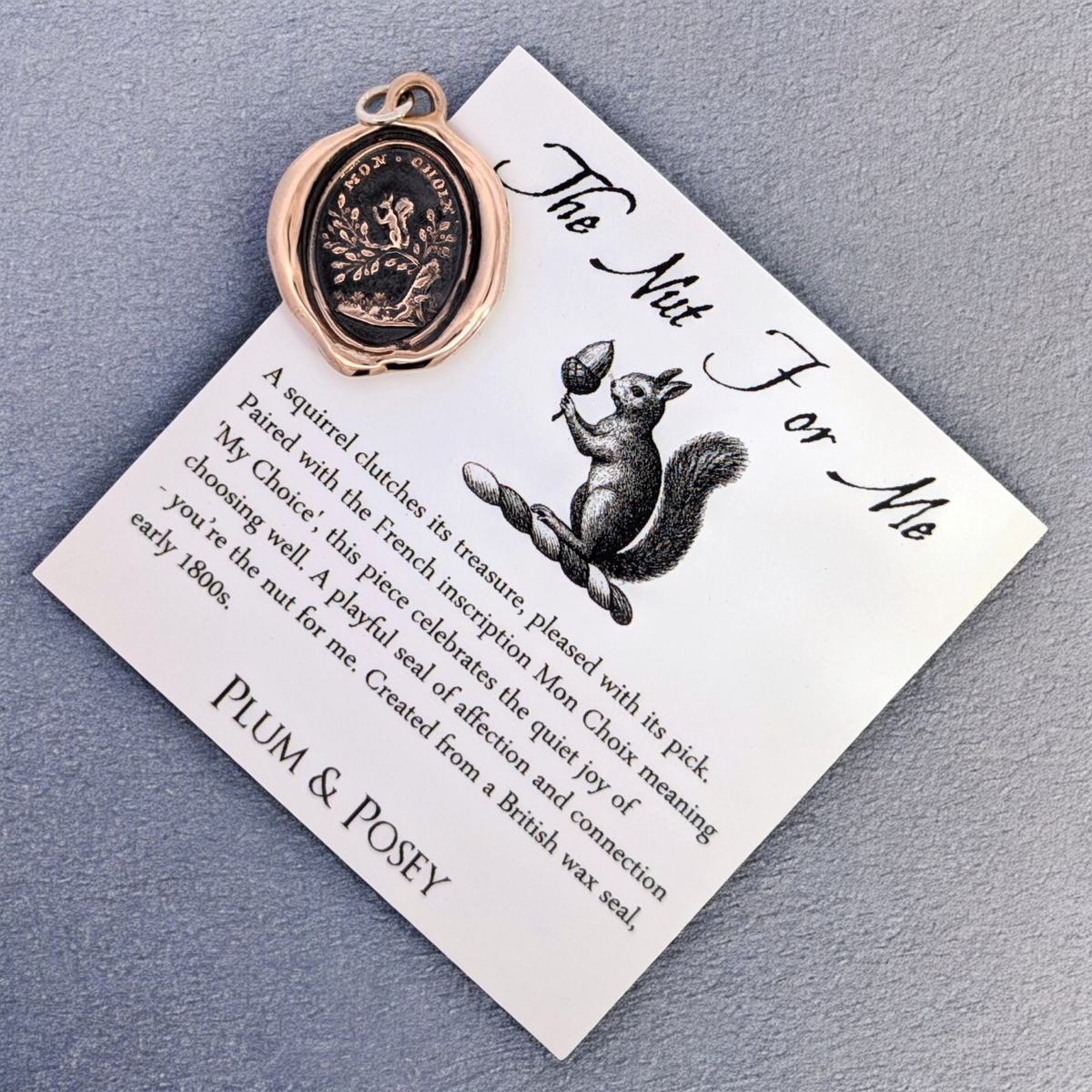 The Nut For Me - Bronze Squirrel Wax Seal Pendant