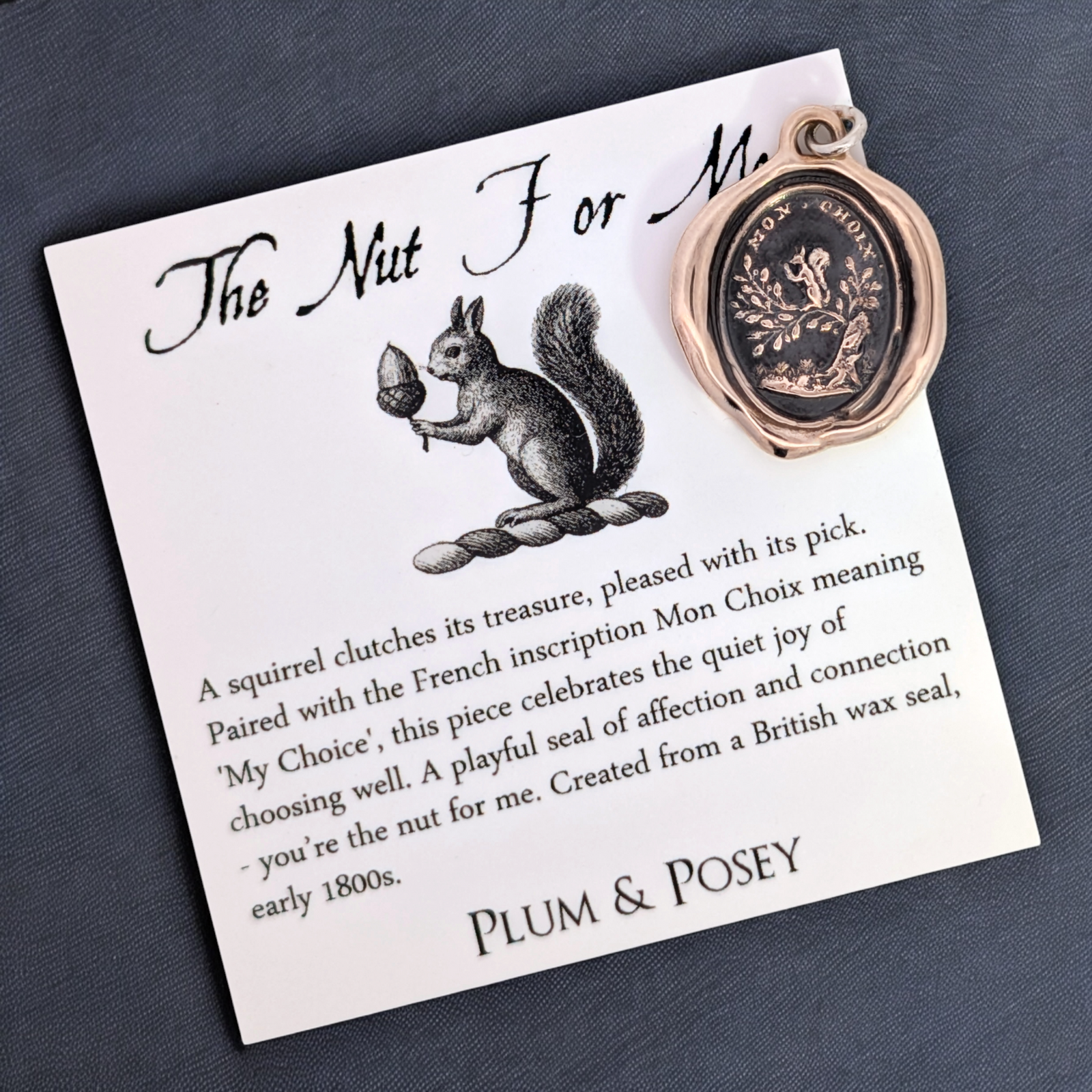 The Nut For Me - Bronze Squirrel Wax Seal Pendant