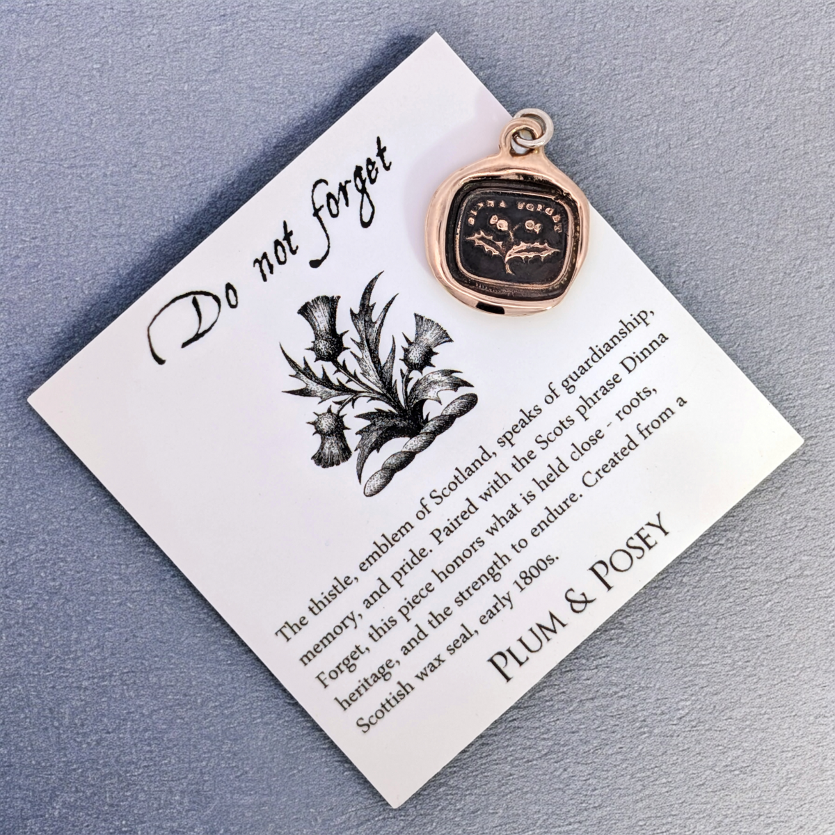 Do Not Forget - Bronze Thistle Wax Seal Pendant