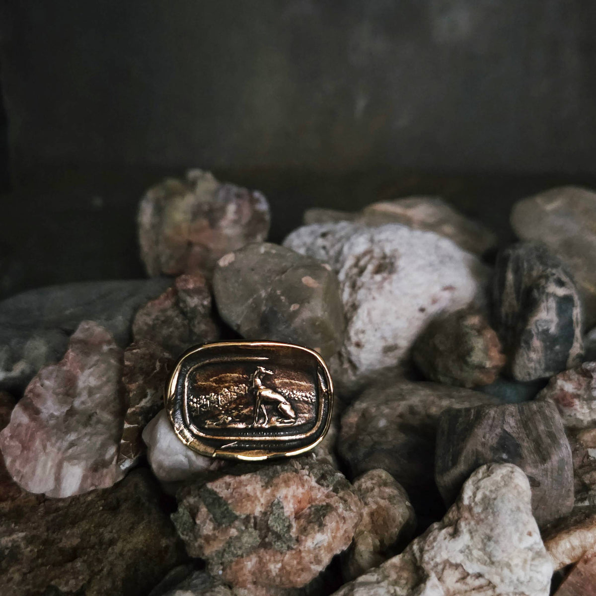 Greyhound Seal Ring, Bronze on Sterling, Size 8.25