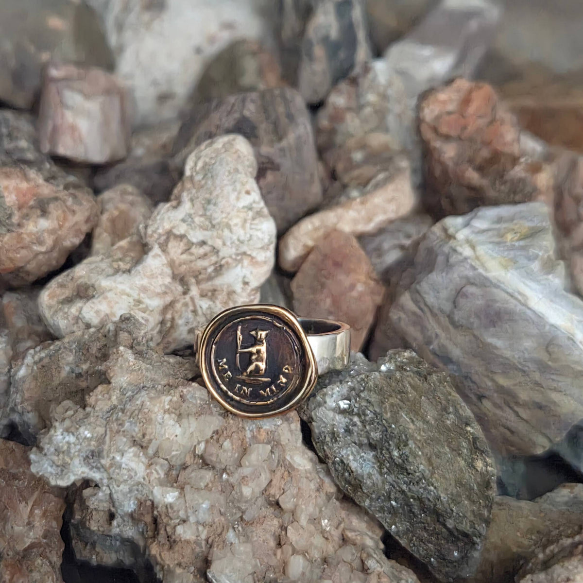 Bear Me In Mind Seal Ring, Bronze on Sterling, Size 4.5