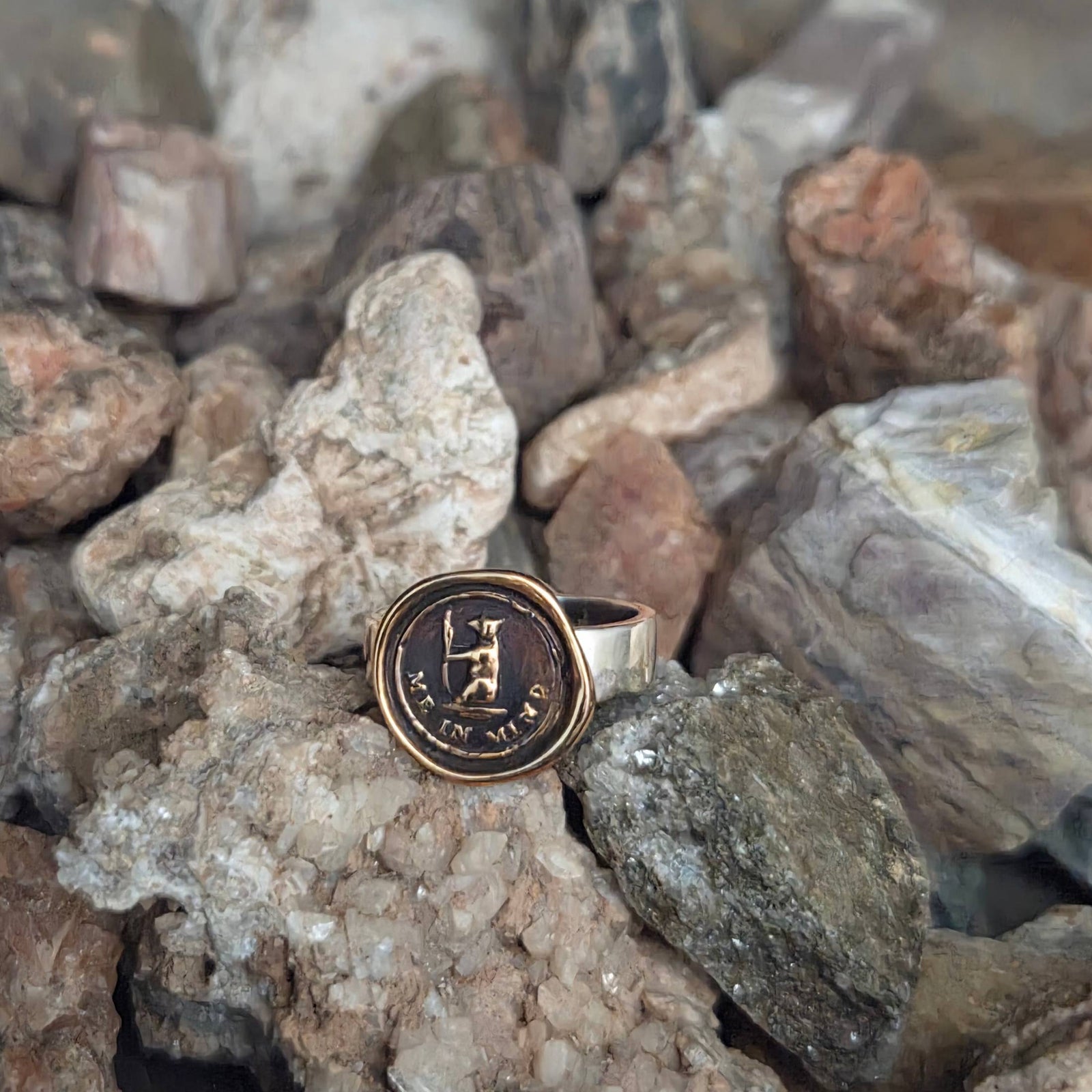 Bear Me In Mind Seal Ring, Bronze on Sterling, Size 4.5