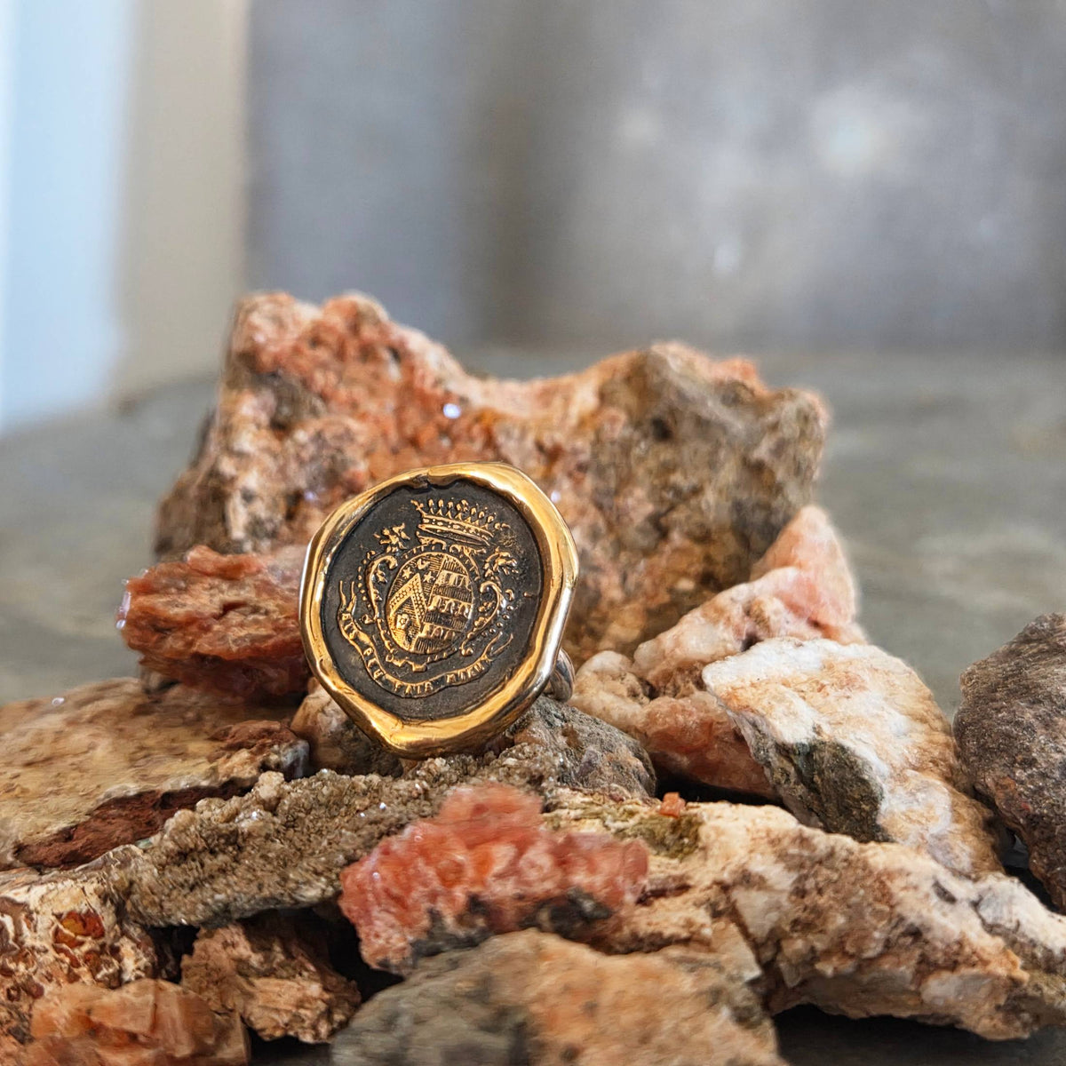 Dolphin Crest Seal Ring, Bronze on Sterling, Size 9