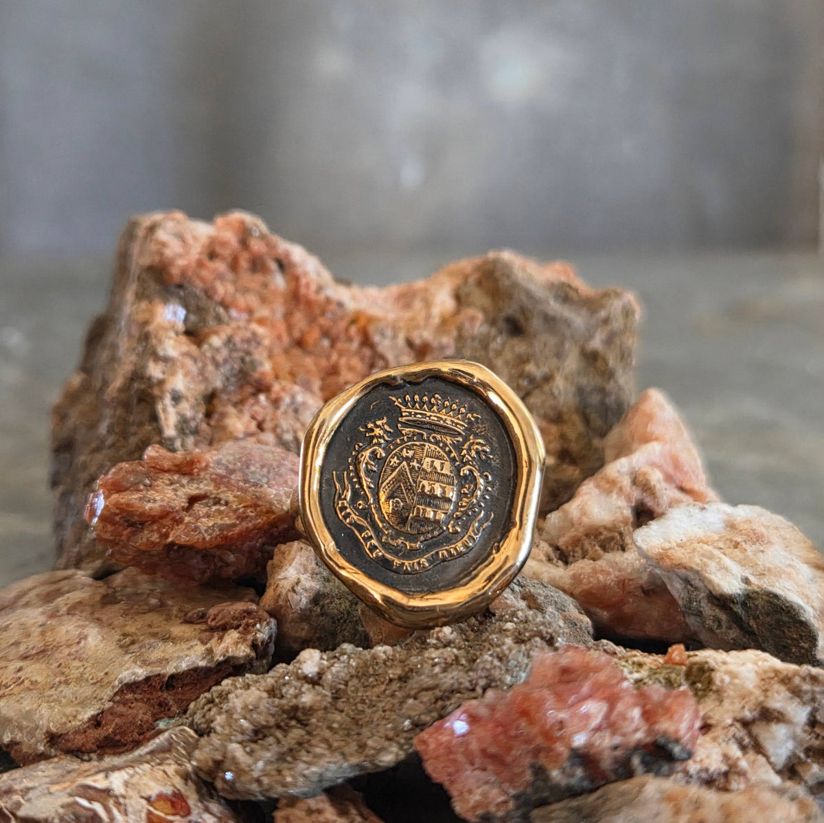 Dolphin Crest Seal Ring, Bronze on Sterling, Size 9