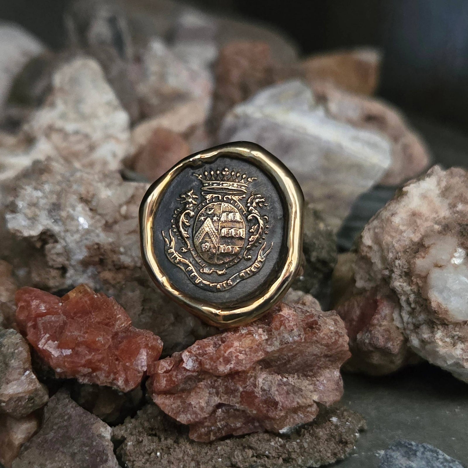 Dolphin Crest Seal Ring, Bronze on Sterling, Size 9