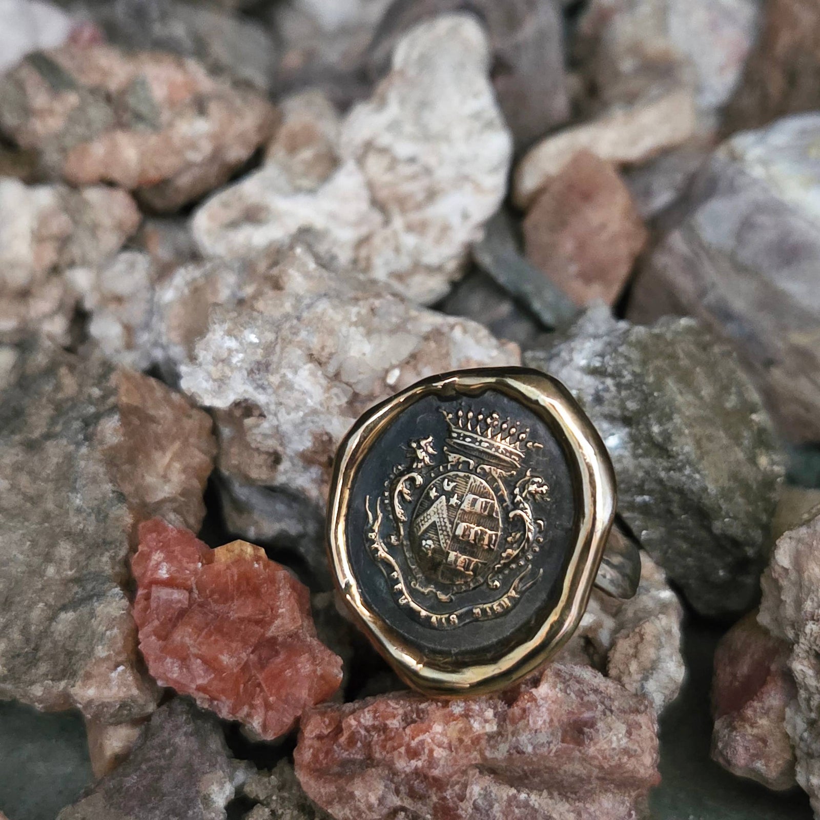 Dolphin Crest Seal Ring, Bronze on Sterling, Size 9