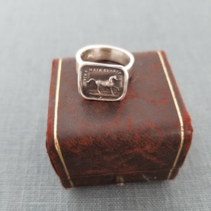 Horse  Ring - High spirited yet sensitive