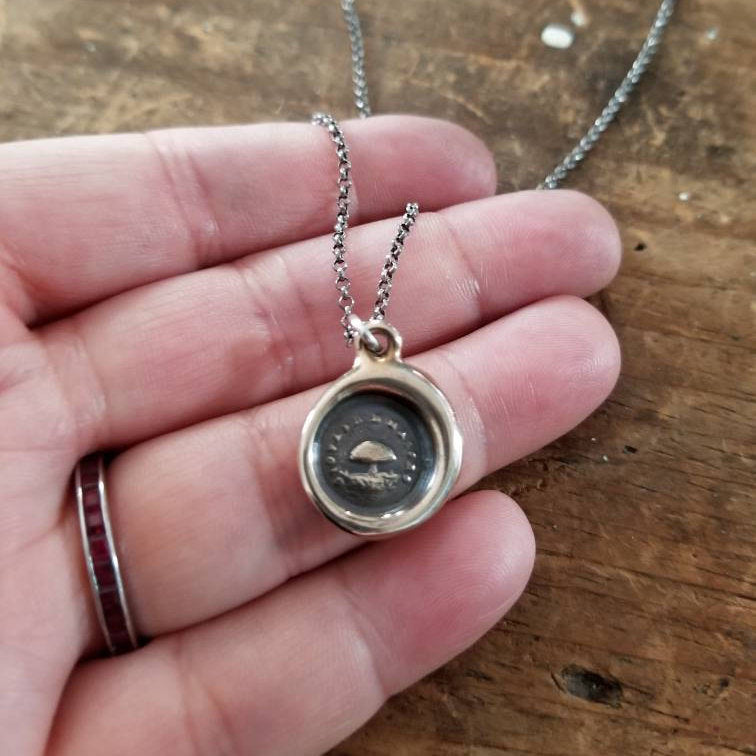 Bronze Toadstool  - Young but Mature