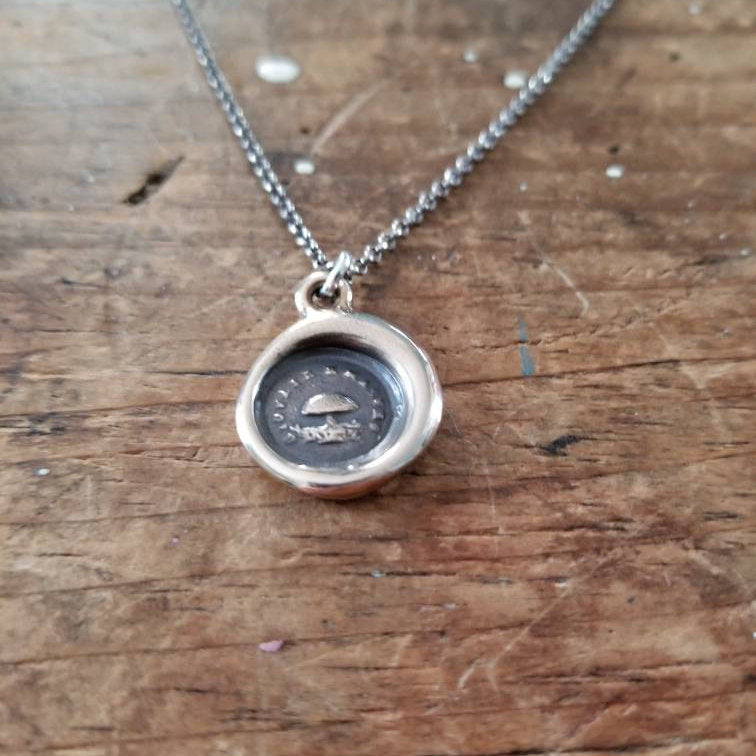 Bronze Toadstool  - Young but Mature