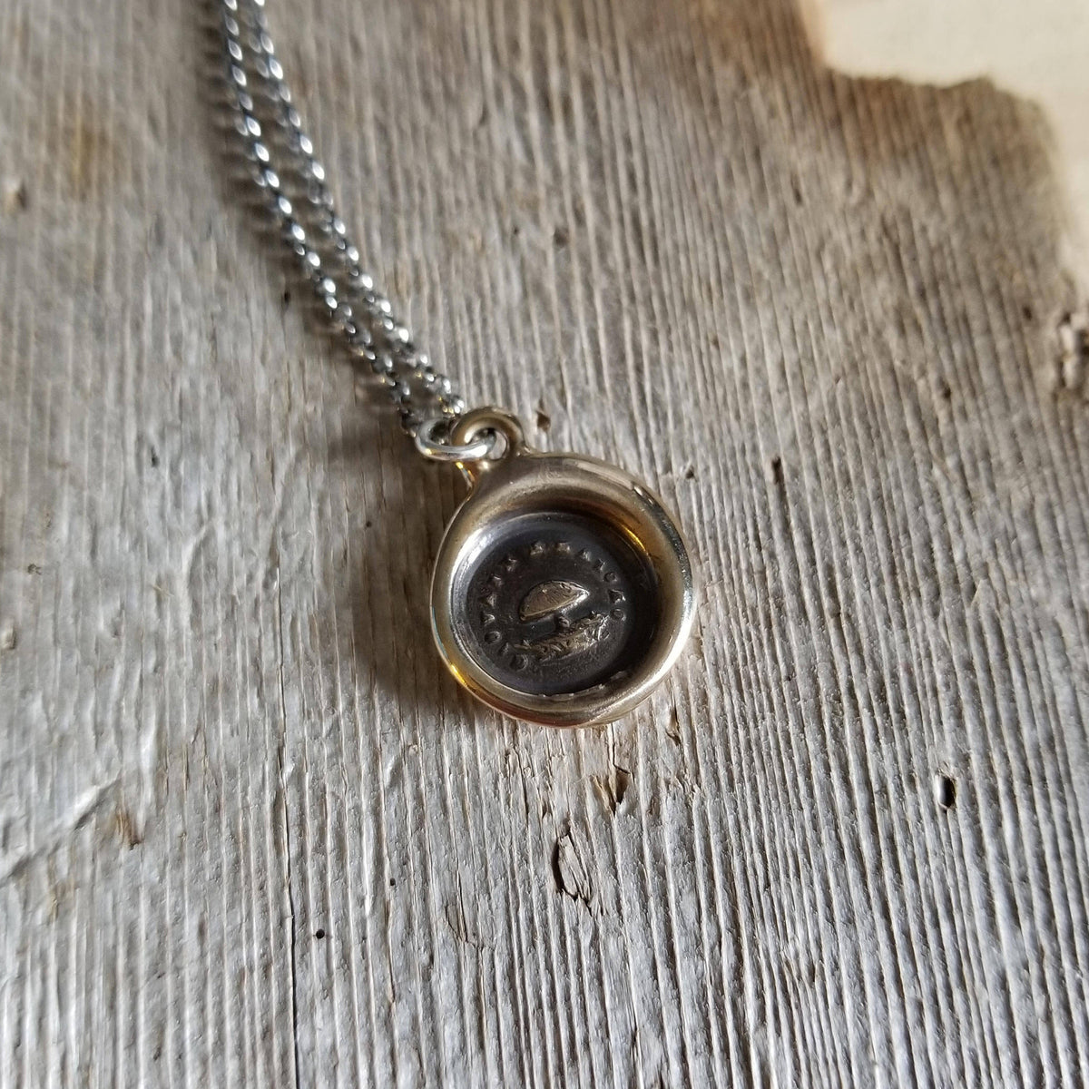 Bronze Toadstool  - Young but Mature