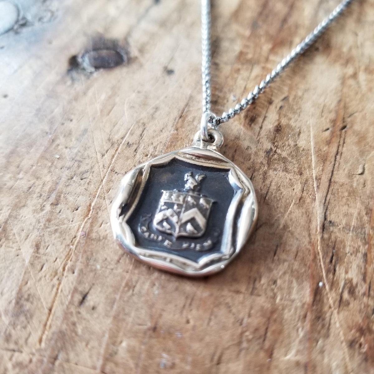 Bronze Carpe Diem Wax Seal Necklace of a Squirrel and Owls &#39;Seize the Day&#39;