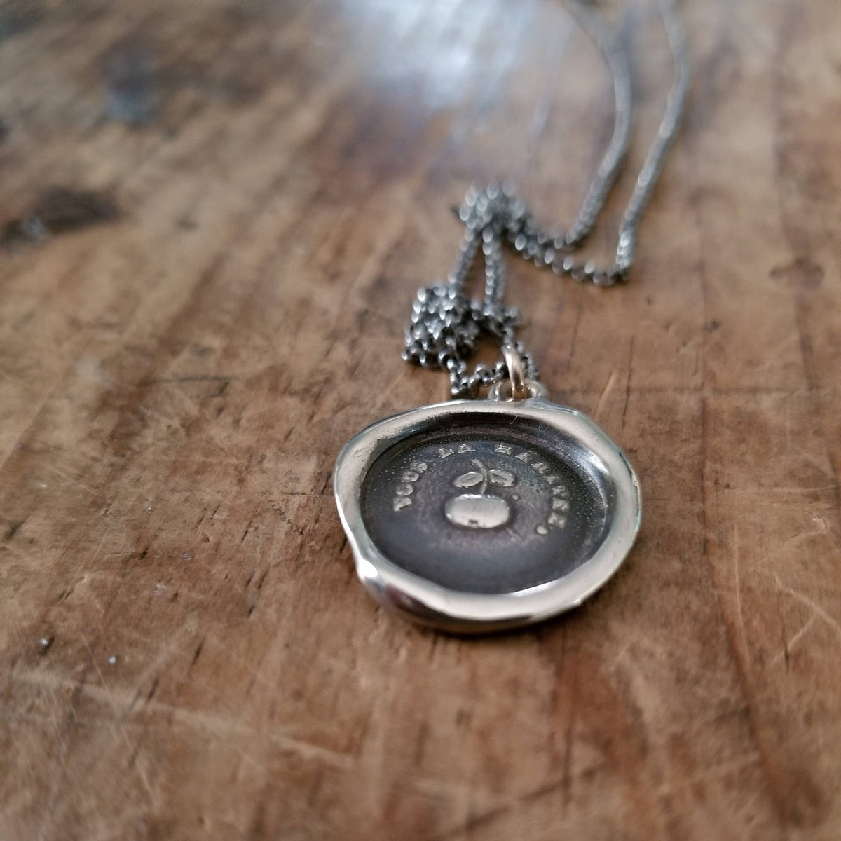 You Deserve It - Apple Encouragement in bronze