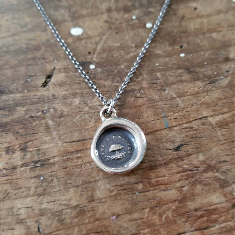 Bronze Toadstool  - Young but Mature