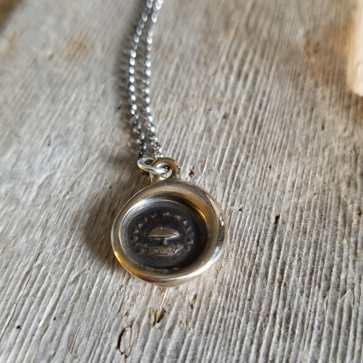 Bronze Toadstool  - Young but Mature