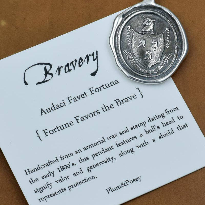 Fortune Favors the Brave Necklace in Bronze