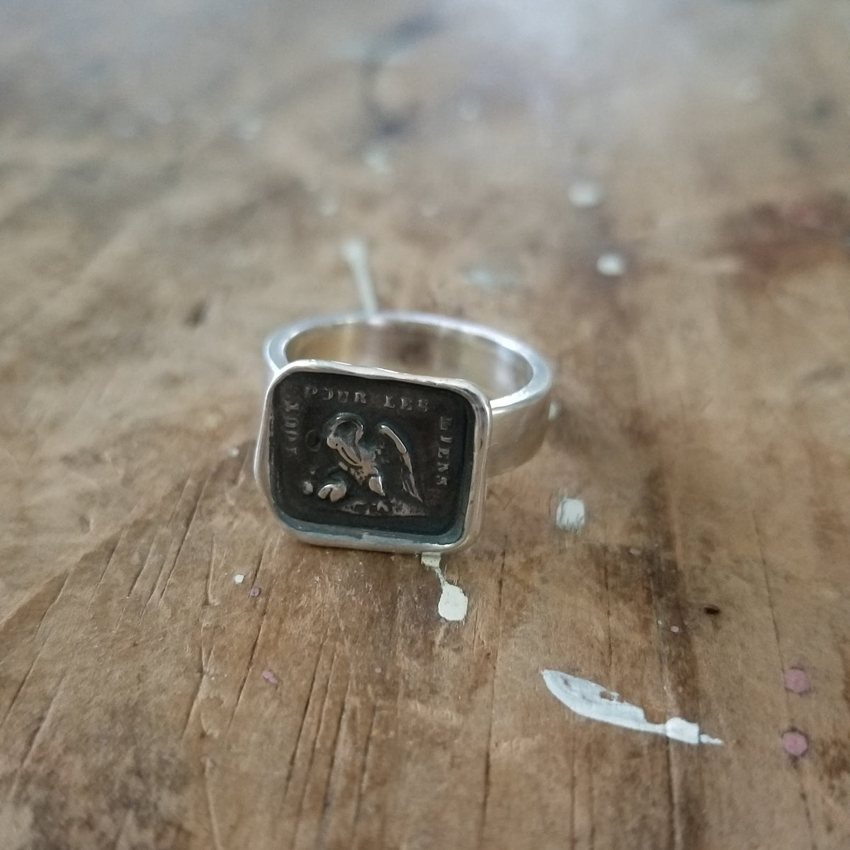 A Mothers Love - Pelican in her Piety