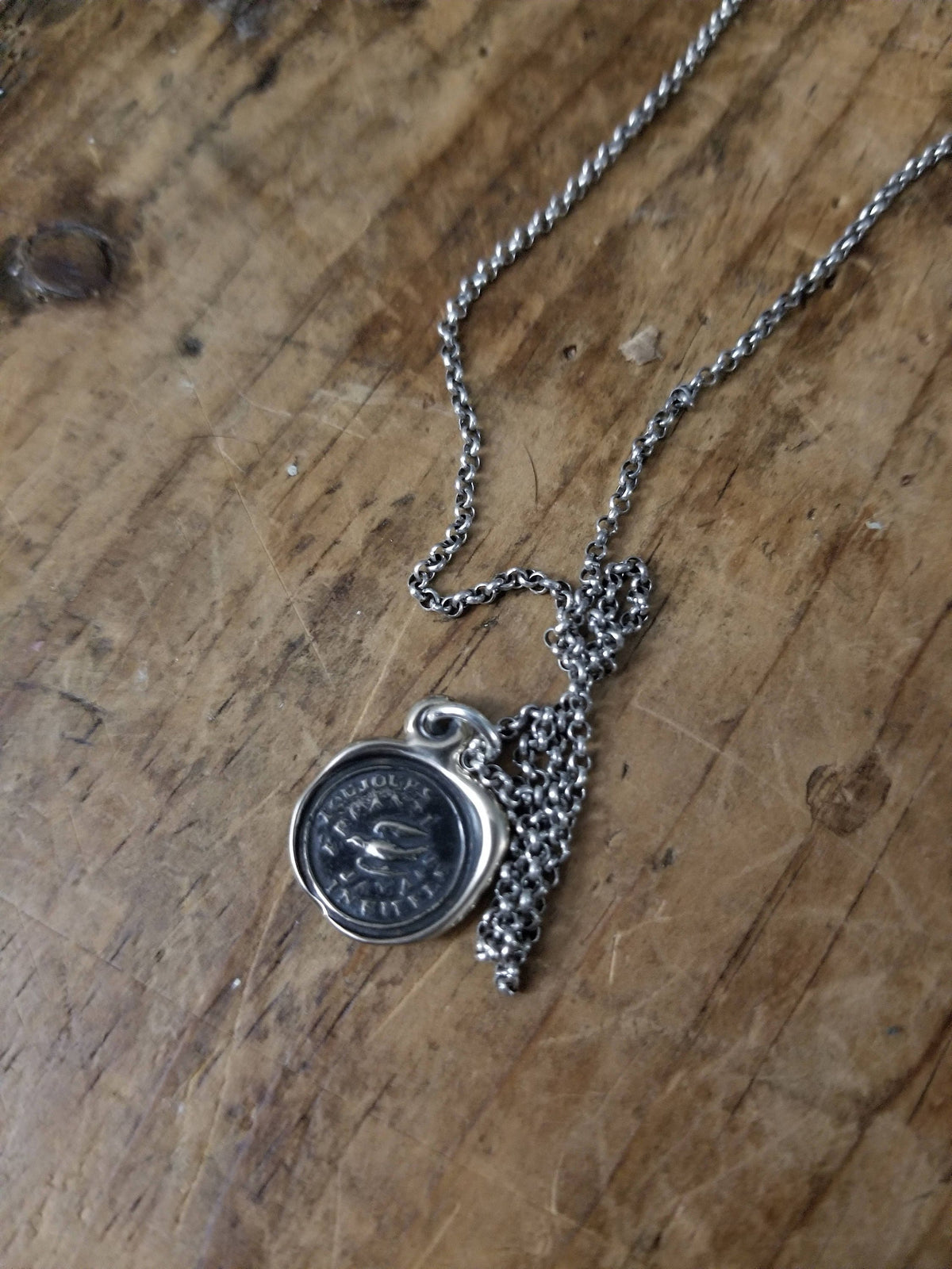 Swallow - Always Wandering Love and Loyalty in bronze