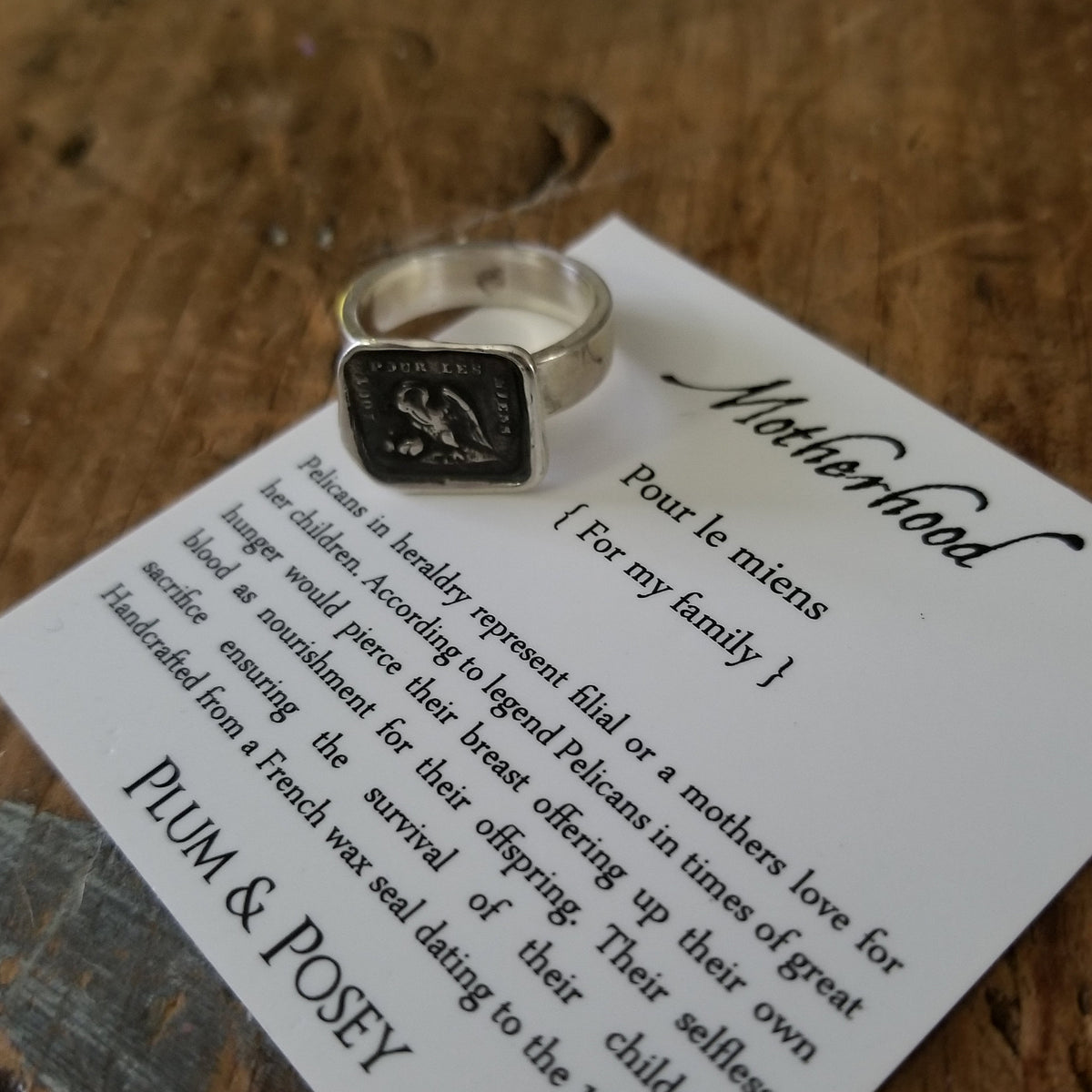 A Mothers Love - Pelican in her Piety