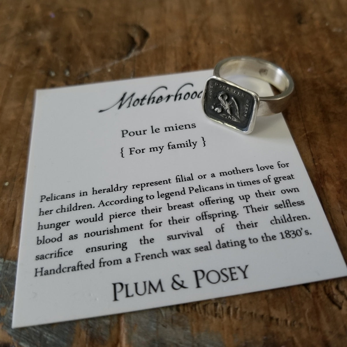 A Mothers Love - Pelican in her Piety