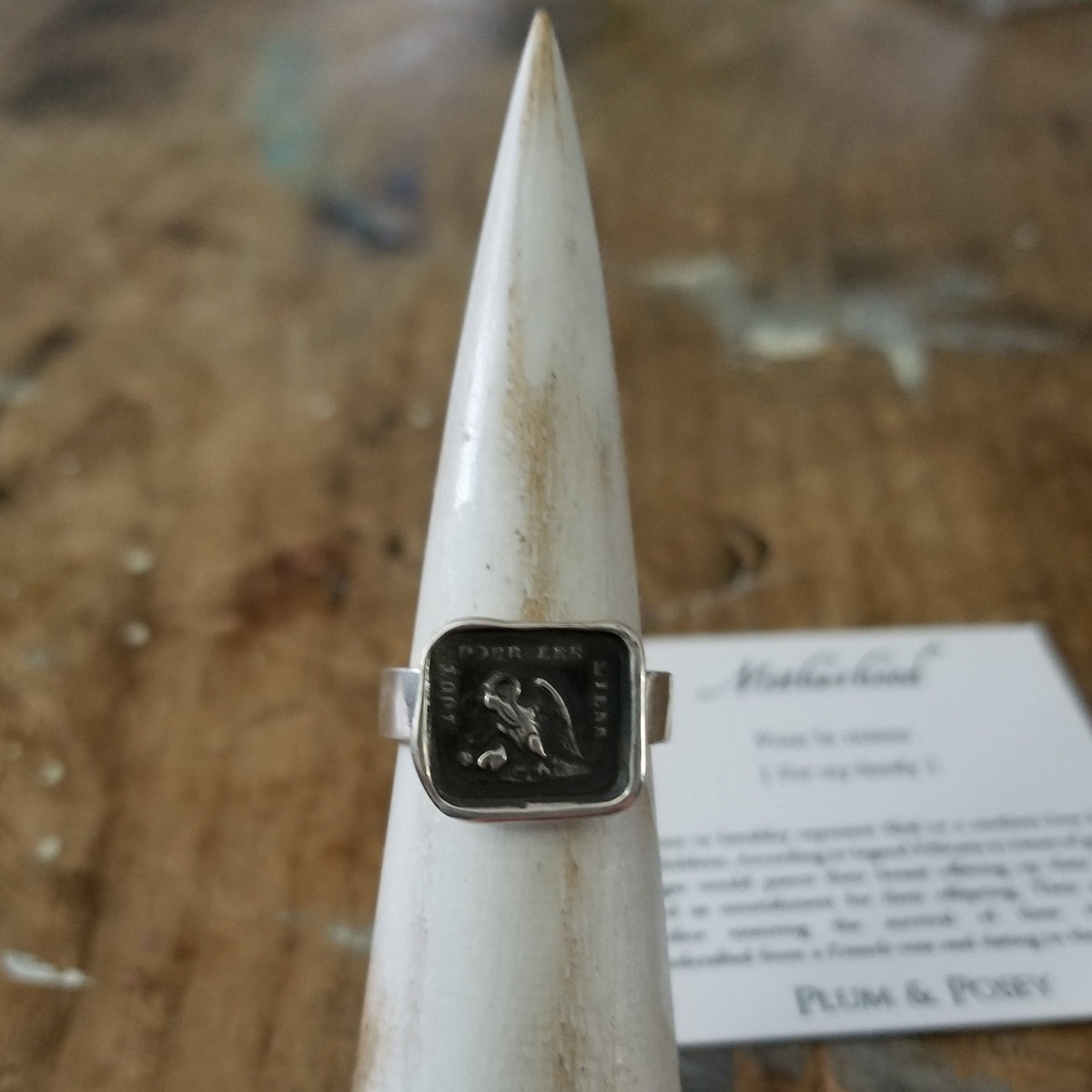 A Mothers Love - Pelican in her Piety