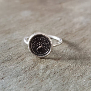 Abundance - Skinny Whimsy Ring