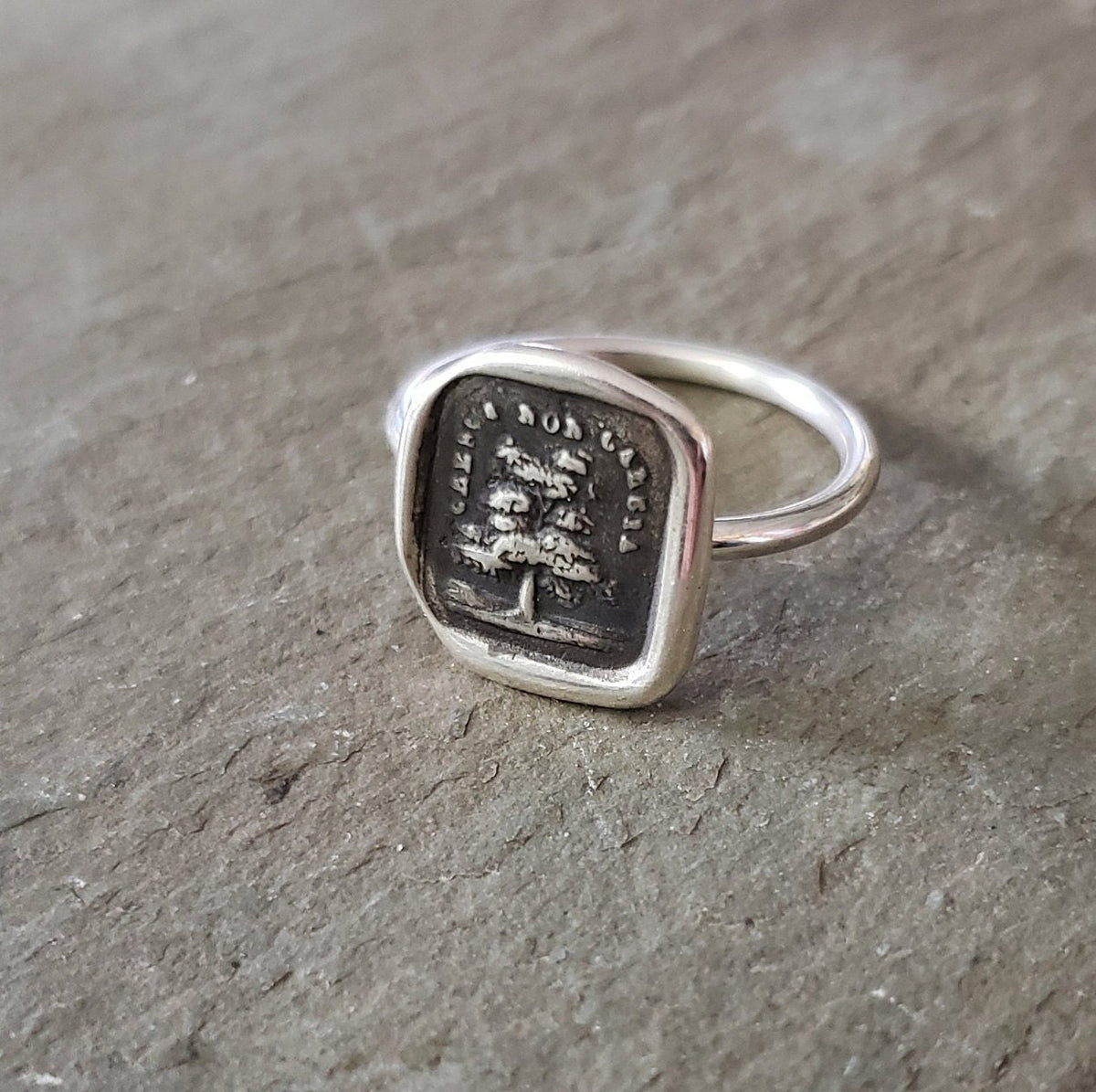 Grow, don't change - Skinny Stacking Ring