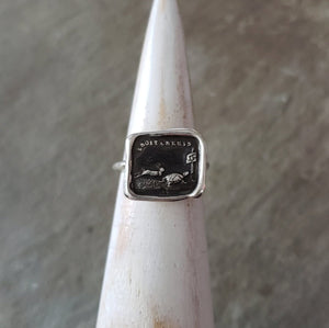 Tortoise and Hare - Skinny Stacking Ring