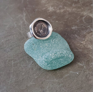 Owl Wax Seal Ring - The night is full of wisdom